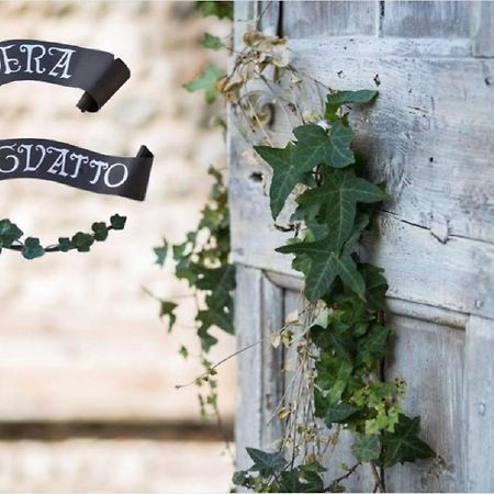 Edera Dei Guatto Bed & Breakfast Bertiolo Ngoại thất bức ảnh