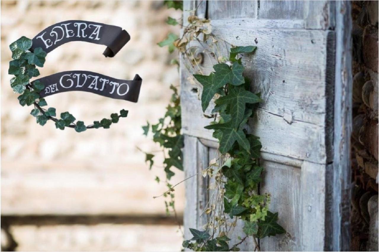 Edera Dei Guatto Bed & Breakfast Bertiolo Ngoại thất bức ảnh